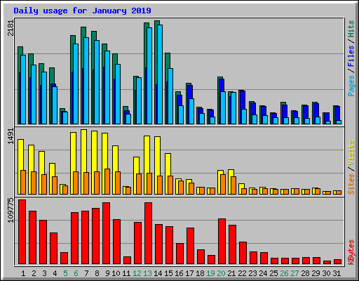 Daily usage for January 2019