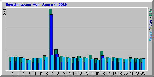 Hourly usage for January 2019