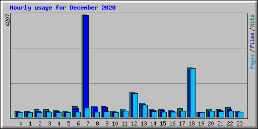 Hourly usage for December 2020