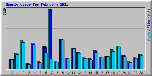 Hourly usage for February 2021