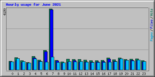 Hourly usage for June 2021