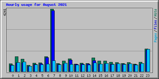 Hourly usage for August 2021