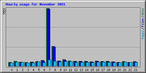 Hourly usage for November 2021