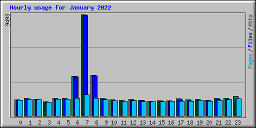 Hourly usage for January 2022