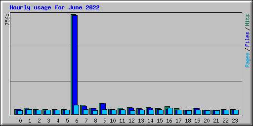 Hourly usage for June 2022