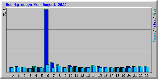 Hourly usage for August 2022