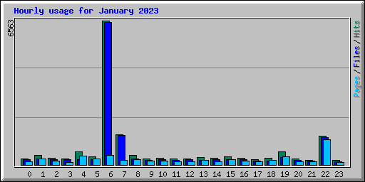 Hourly usage for January 2023